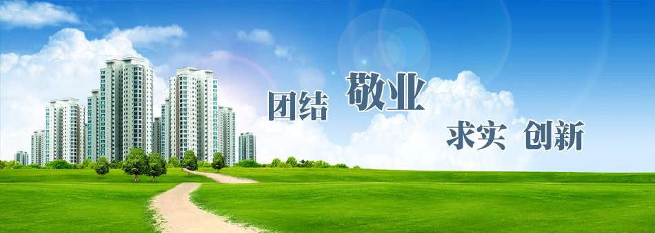 山東天瑞重工有限公司